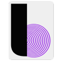 Icon primary